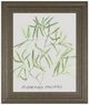 Classy Living Katrien Soeffers Asparogus Falcatus 22" Wall Art-0