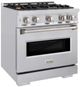 ZLINE Classic Series 30" Stainless Steel Pro Style Gas Range -1