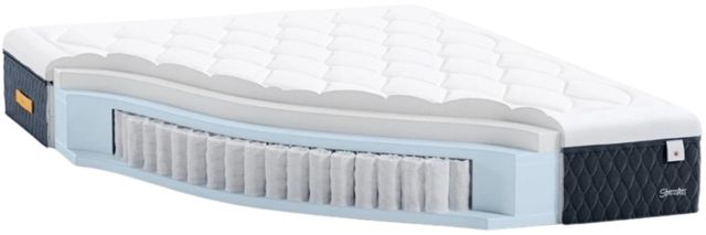 Stressless® by Ekornes® Sky 11" Foam Medium Tight Top Queen Mattress-2