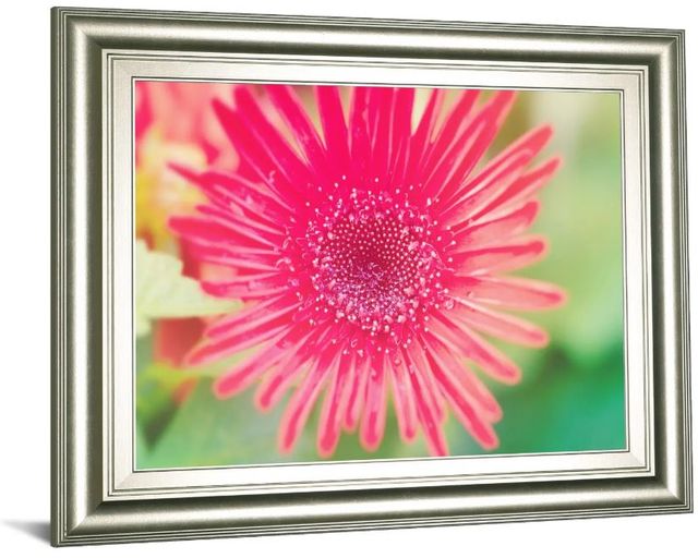Classy Art Pink Gerbera by Susan Bryant Framed Print Wall Art-1