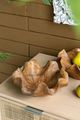 A & B Home 2-Piece Brown Bowl Set-4