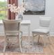 Linon Lourdes 2-Piece Gray Stripe/White Side Chair Set-1