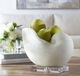Uttermost® Nautilus Ivory Shell Sculpture-3