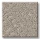 Shaw® Floors Pet Perfect Favoured Path Sculpture Carpet-0