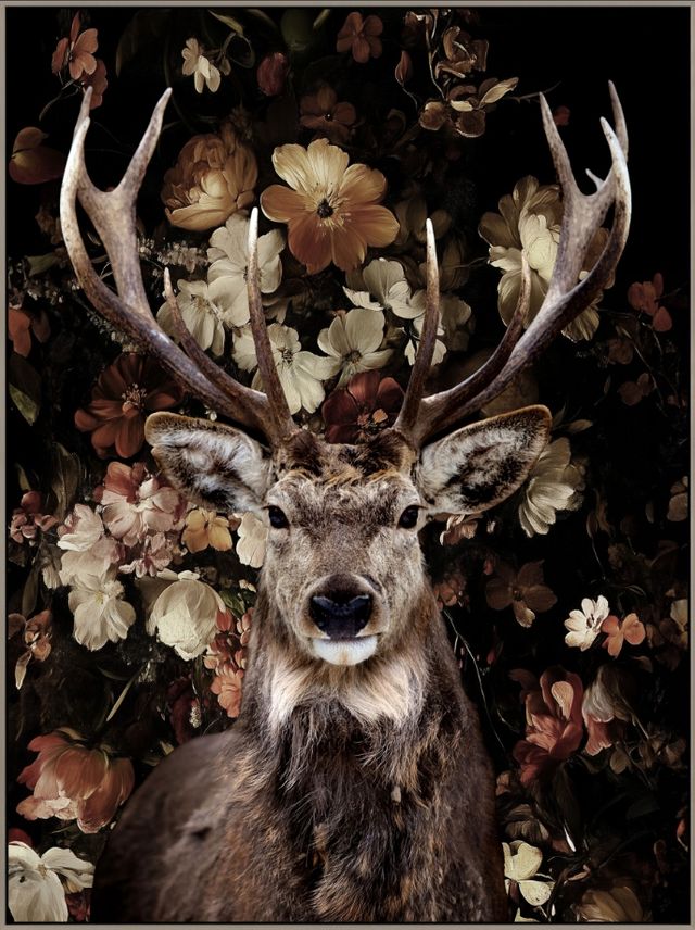 Classy Living Untamed Deer on Flowers Wall Art-0