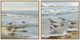 Crestview Collection Sandpiper Reflections 2-Piece Wall Art Set-0
