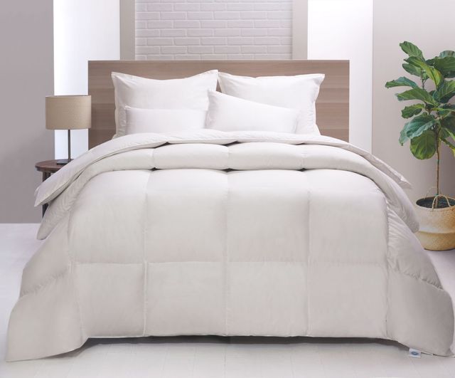 Concept ZZZ White Queen Duck Down Duvet, RDS Certified-3