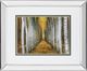 Classy Living Cahill Tree Farm 34"W Wal Art-0