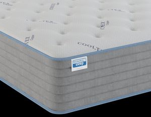 Walker Furniture Stardust 13.25” Medium Tight Top Queen Mattress Walker Furniture Stardust 13.25” Medium Tight Top Queen Mattress
