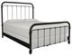 Wesley Allen Customizable Braden California King Iron Bed-3