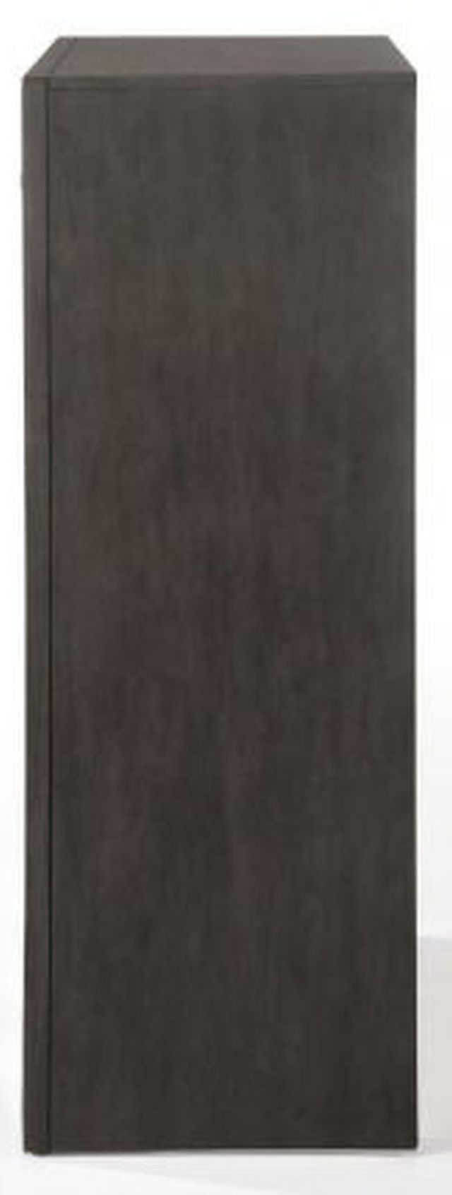 ACME Furniture Ireland Gray Oak Chest-3