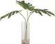 Uttermost® Ibero Green Split Leaf Palm-0