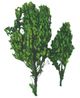 A & B Home Green Boxwood-0