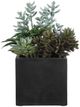 Uttermost® Greystone Green/Matte Black Indoor-Outdoor Succulent-5