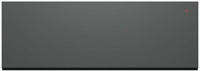 Fisher & Paykel Series 9 Minimal 30" Grey Glass Warming Drawer-0