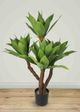 Le Present Green 47" Faux Botanical Agave Attenuata-4