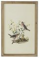 A & B Home 4-Piece Brown Bird Framed Print Wall Art Set-2