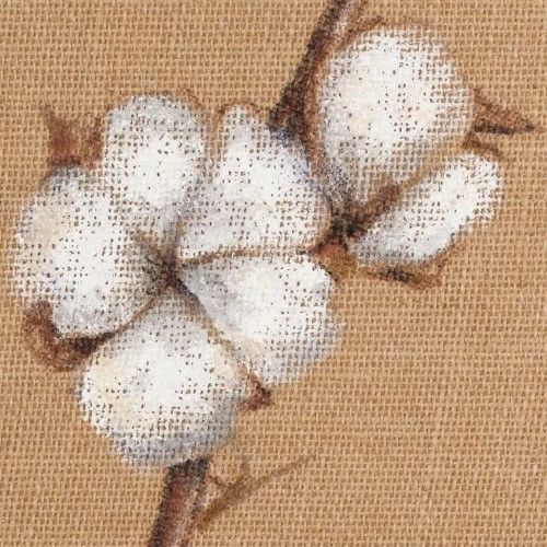 Classy Art Cotton Branch II by Patricia Pinto Wall Art-1