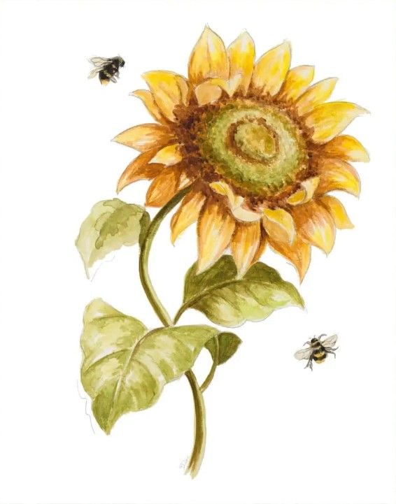 Classy Art Harvest Gold Sunflower II by Patricia Pinto Wall Art-2