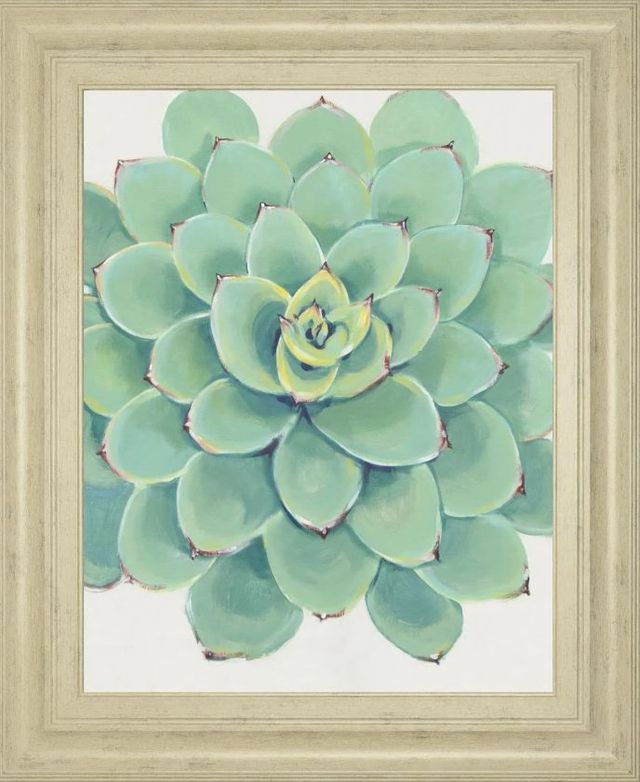 Classy Art Pastel Succulent III by Tim OToole Wall Art-0