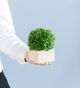 A & B Home Green Small Faux Boxwood Boxed Topiary-3
