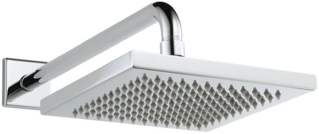 Delta Universal Showering Chrome Metal Raincan Shower Head Assembly-0
