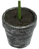 A & B Home 3-Piece Charcoal/Green Mini Faux Potted Boxwood Topiaries Set-2