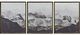 Renwil® Manford Set of 3 Framed Prints-0
