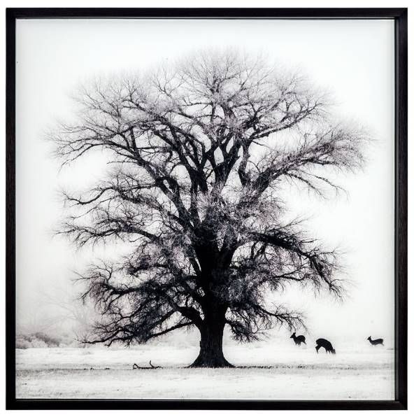 YHD Winter's Morning Fog II Wall Art-0