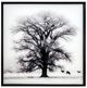 YHD Winter's Morning Fog II Wall Art-0