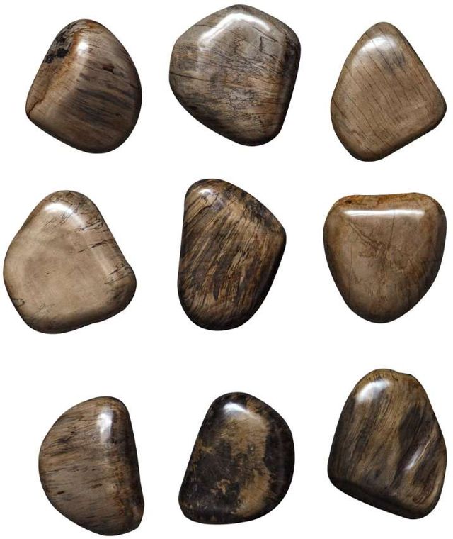 Uttermost® Pebbles 9-Piece Walnut Brown Wall Decor Set-0