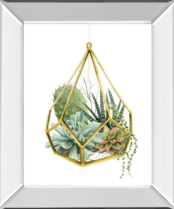 Classy Art Wild Terrarium II by Grace Popp Wall Art-0