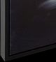 Uttermost® Liz Jardin Peony Framed Canvas-4