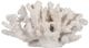 A & B Home White Inna Faux Rising Coral-0