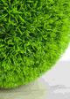 Le Present Grass Lime Green Faux Botanical Ball-2