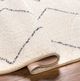 Surya Lykke White 4'x6' Area Rug-4