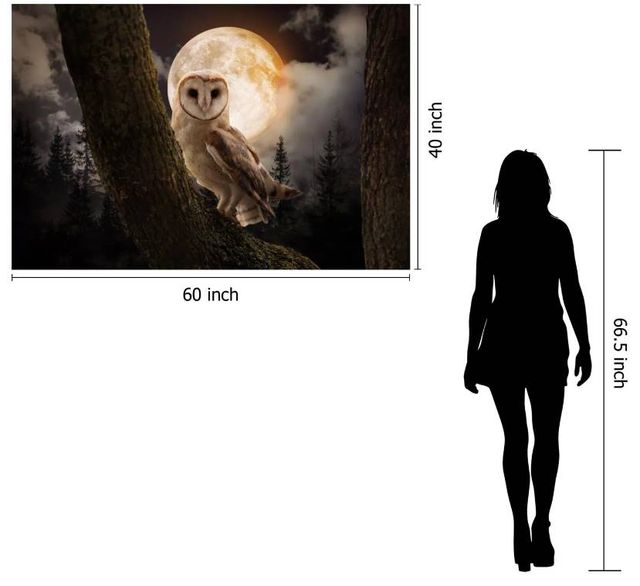 Classy Art Night Owl Wall Art-2