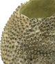 A & B Home Light Green Planter-3