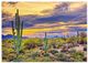 YHD Saguaro Sunset Wall Art-0
