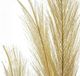 A & B Home Dark Brown Artificial Pampas Grass Bundle-2