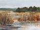 StyleCraft Wetland Grasses II Wall Art-1