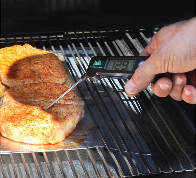 Green Mountain Grills Digital Probe Thermometer-1