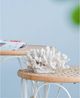 A & B Home White 7" Faux Coral Decorative Object-5