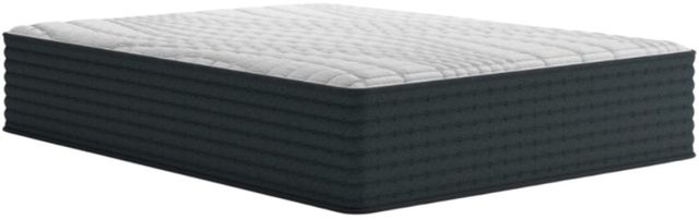 Sierra Sleep® By Ashley® 14" Hybrid Ultra Plush Tight Top California King Mattress in a Box-0