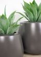 Le Present Belly Anthracite 15" Planter-3
