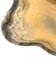A & B Home Eduardo Beige/Black Hand-Carved Zebra Onyx Bowl-1