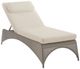 Century® Customizable Elements Fabric/Metal Outdoor Chaise-2