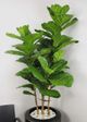 Le Present Fiddle Leaf Fig Green 84" Faux Botanical-4