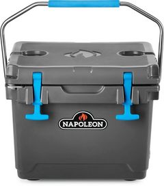 Napoleon 15 L Cooler Box