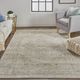 Feizy Aura 4'x6' Style 4 Accent Rug-1